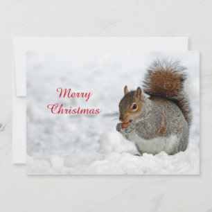 Cartes Pour Fêtes Annuelles Écureuil rouge Berry neige photo Appartement de No