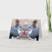 Écureuils de Saint-Valentin - Be My Valentine - Ca