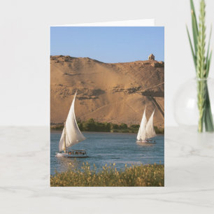 Cartes Pour Fêtes Annuelles Egypte, Assouan, Nil River, Felucca voiliers,
