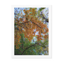 Elegant Autumn Holiday Postcard