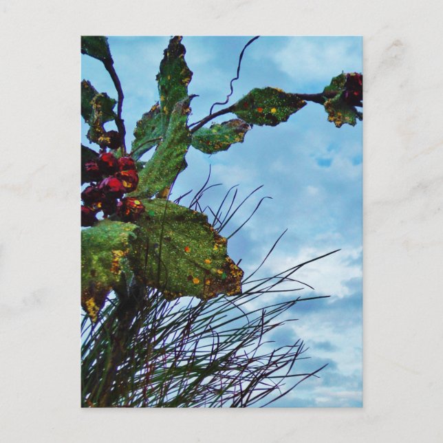 Cartes Pour Fêtes Annuelles Élégant Noël Holly, ciel bleu (Devant)