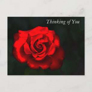 Cartes Pour Fêtes Annuelles Élégante Fleur Rose rouge Penser à vous