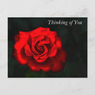 Cartes Pour Fêtes Annuelles Élégante Fleur Rose rouge Penser à vous