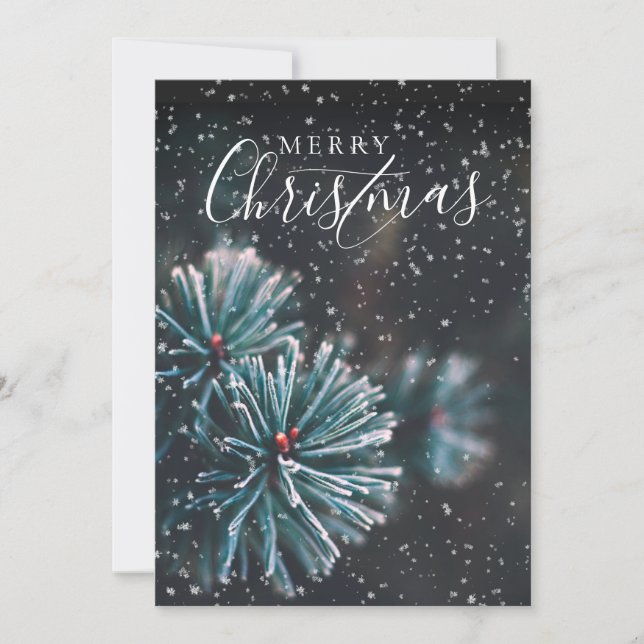 Cartes Pour Fêtes Annuelles Elégante Photo Joyeux Noël Fir Bough Snow (Devant)
