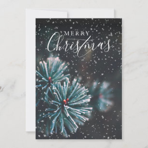Cartes Pour Fêtes Annuelles Elégante Photo Joyeux Noël Fir Bough Snow