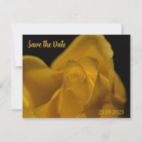 Élégante Rose jaune simple gros plan Enregistrer l