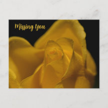 Élégante Rose jaune simple Gros plan Vous Manquant