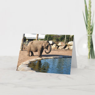 Cartes Pour Fêtes Annuelles éléphant asiatique