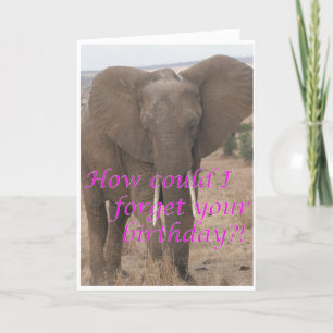 Cartes Pour Fêtes Annuelles Elephant forgets birthday