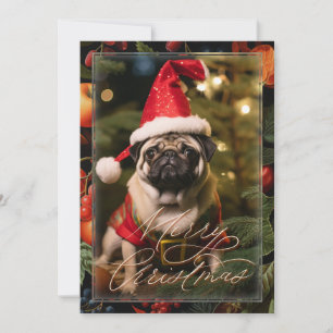 Cartes Pour Fêtes Annuelles Elfe Carlin de Noël