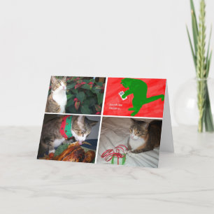 CARTES POUR FÊTES ANNUELLES EMMA MBX5