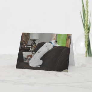 Cartes Pour Fêtes Annuelles En attente de Père Noël