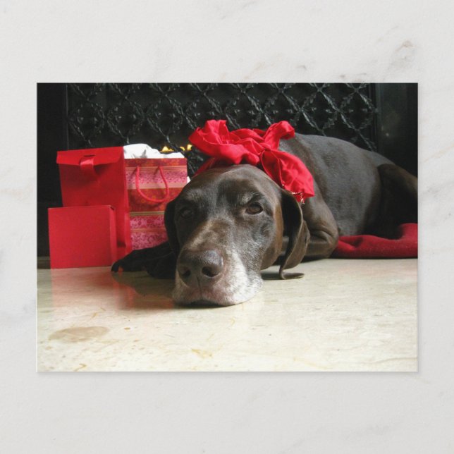 Cartes Pour Fêtes Annuelles en attente de père Noël (Devant)