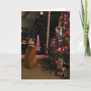 Cartes Pour Fêtes Annuelles En Attente De Père Noël