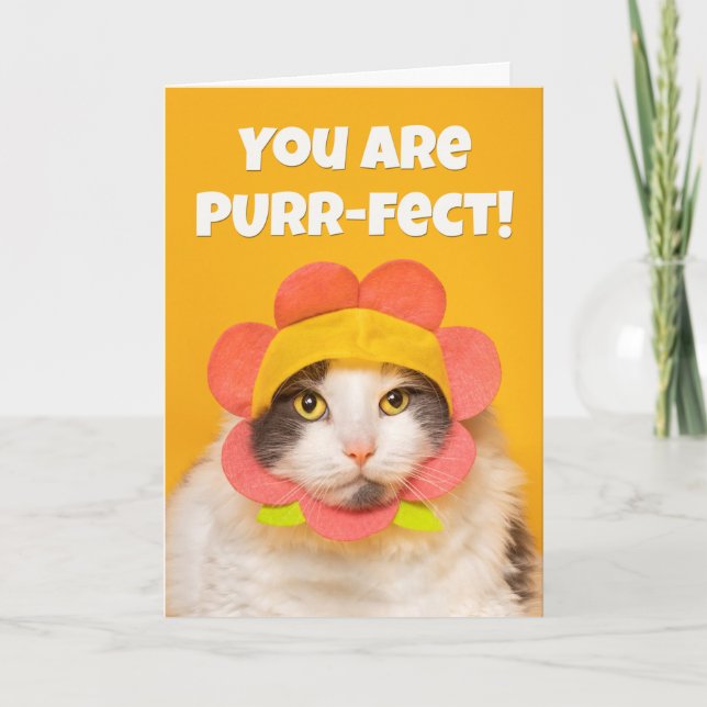 Cartes Pour Fêtes Annuelles Encouragement Cute Chat dans Flower Casquette Humo (Devant)