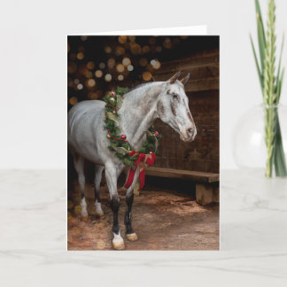 Cartes Pour Fêtes Annuelles Endo the Blind Christmas Card