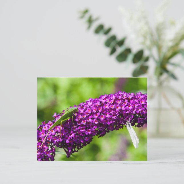 Cartes Pour Fêtes Annuelles énergie katydone (Debout devant)