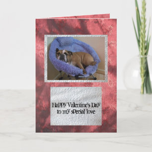 Cartes Pour Fêtes Annuelles English bulldog Valentine's Day Card