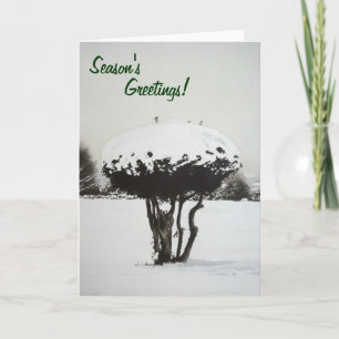 Cartes Pour Fêtes Annuelles enneigé paysage sensuel noël