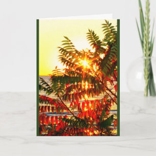 Cartes Pour Fêtes Annuelles Envoi Chaleureux Noël Souhaite Votre Chemin!
