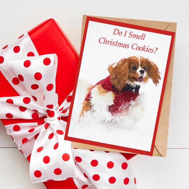 Cartes Pour Fêtes Annuelles Épagneul cavalier du Roi Charles fonctionnant dans (A cute Christmas card featuring Sadie the Cavalier King Charles Spaniel. )