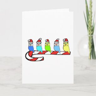Cartes Pour Fêtes Annuelles Épouses - Noël