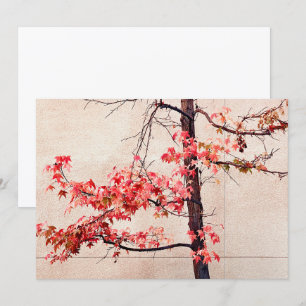 Cartes Pour Fêtes Annuelles Érable