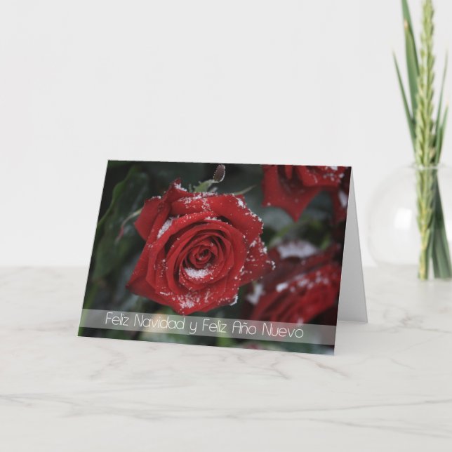 Cartes Pour Fêtes Annuelles espagnol Joyeux Noël-Joyeux Nouvel An rouge neigeu (Devant)