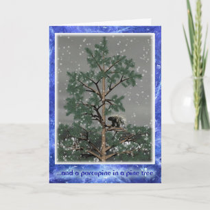 Cartes Pour Fêtes Annuelles Et Une Porcupine Dans Un Pin Tree