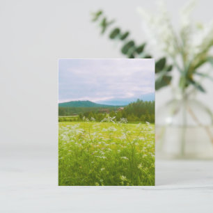 Cartes Pour Fêtes Annuelles Été à Hälsingland - Helsingia