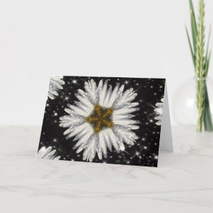 Cartes Pour Fêtes Annuelles Étoile de marguerite de Noël