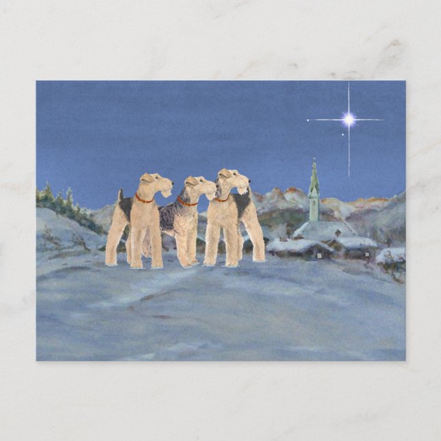 Cartes Pour Fêtes Annuelles Étoile de Noël (Devant)