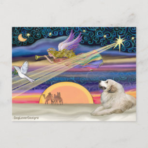 Cartes Pour Fêtes Annuelles Étoile de Noël - Grand Pyrenees 1