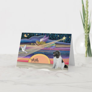 Cartes Pour Fêtes Annuelles Étoile de Noël - Terre-Neuve (Landseer)