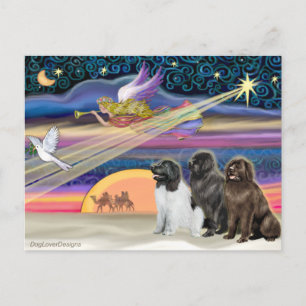 Cartes Pour Fêtes Annuelles Étoile de Noël - Terre-Neuve (trois)