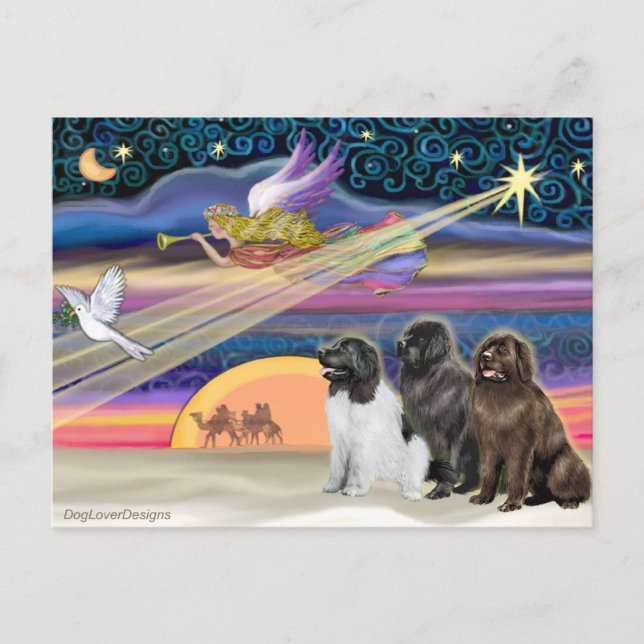 Cartes Pour Fêtes Annuelles Étoile de Noël - Terre-Neuve (trois) (Devant)