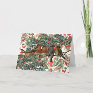 Cartes Pour Fêtes Annuelles Europe Robin Oiseaux Noël Fêtes Rouge Ruban