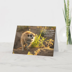 Cartes Pour Fêtes Annuelles Ewoks Ornaments - Seasons Greetings Card