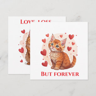 Cartes Pour Fêtes Annuelles Explorez Maine Coon chat secourir près de moi