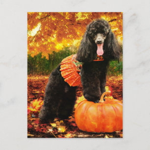 Cartes Pour Fêtes Annuelles Fall Thanksgiving - Gidget - Poodle