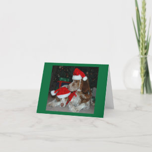 CARTES POUR FÊTES ANNUELLES FAMILLE DE LA BRETAGNE