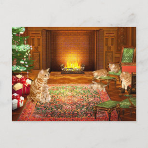 Cartes Pour Fêtes Annuelles Famille de Noël de chat tabby orange