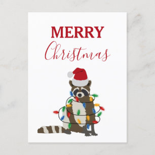 Cartes Pour Fêtes Annuelles Fantaisie Noël Raccoon Santa Hat Noël Lumières