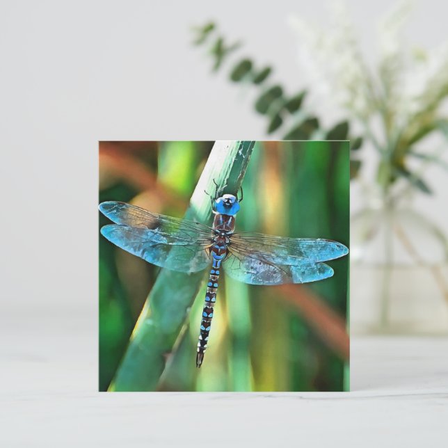 Cartes Pour Fêtes Annuelles Fantasy Dragonfly (Debout devant)