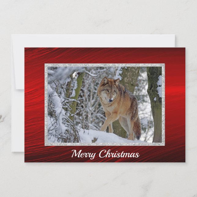 Cartes Pour Fêtes Annuelles Faune Loup Neige Photo Appartement de Noël (Devant)