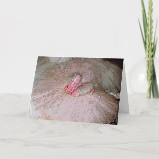 Cartes Pour Fêtes Annuelles Fée de prune de sucre