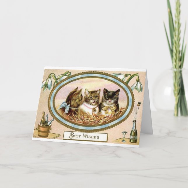 Cartes Pour Fêtes Annuelles Félicitations de trio de chat - occasion spéciale (Devant)