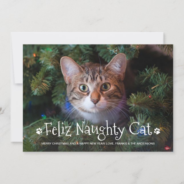 Cartes Pour Fêtes Annuelles Feliz Naughty Chat Funny Personnalisé Photo pour a (Devant)