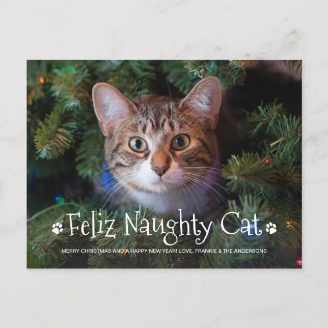 Cartes Pour Fêtes Annuelles Feliz Naughty Chat Funny Personnalisé Photo pour a (Devant)