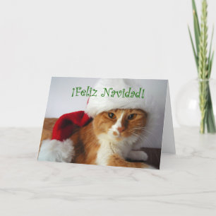 Cartes Pour Fêtes Annuelles Feliz Navidad - Chat portant un chapeau de Père No